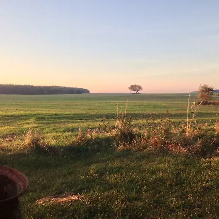 Useinseldom Katschow