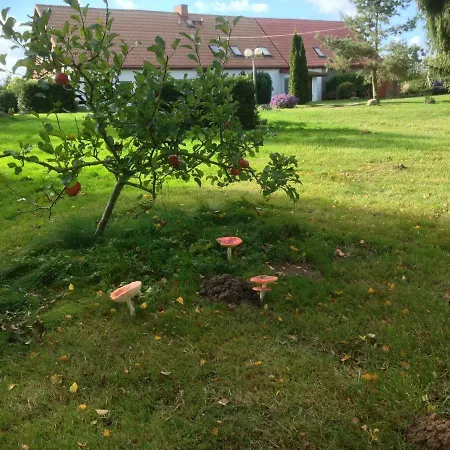 Useinseldom * Katschow