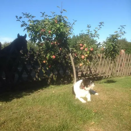 Useinseldom Διαμέρισμα