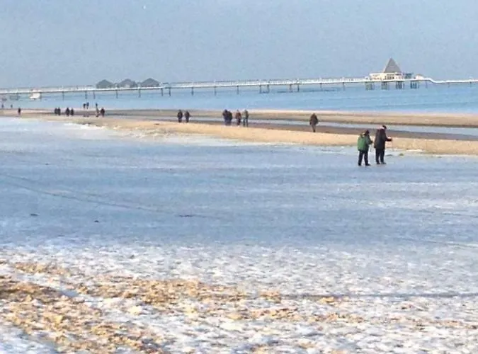 Useinseldom Katschow