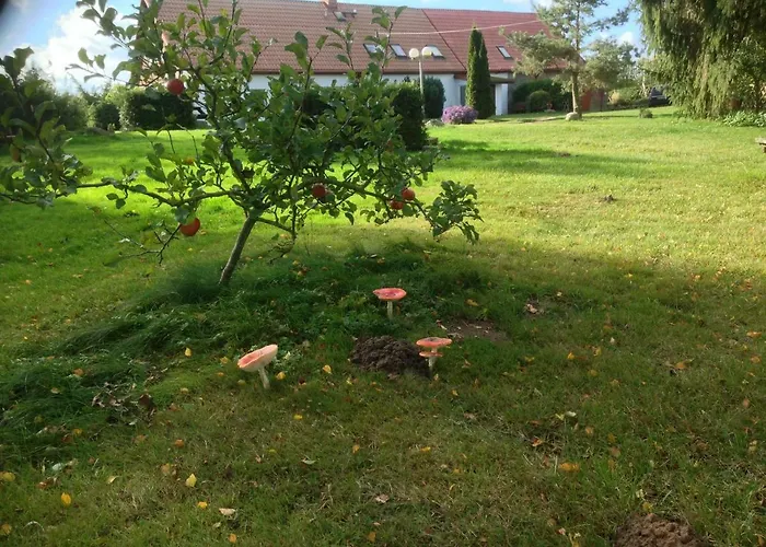 Useinseldom * Katschow