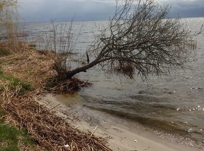 Appartamento Useinseldom *