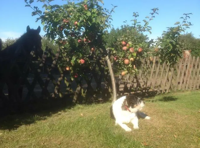 Useinseldom Appartamento